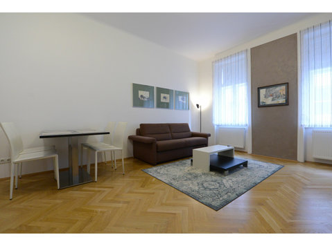 Beautiful, modern apartment near city center (Vienna) - Disewakan
