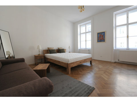 Beautiful, spacious apartment near the city center (Vienna) - Te Huur