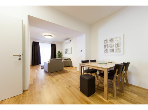 Comfortable and stylish living in Vienna - For Rent