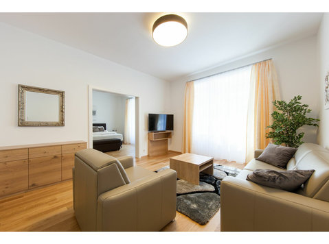 Comfortable flat for up to 2 people in Vienna - เพื่อให้เช่า