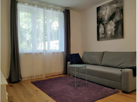 Cozy Apartment in Vienna's 18th District - For Rent