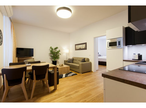 Modern and comfortable flat in Vienna - K pronájmu