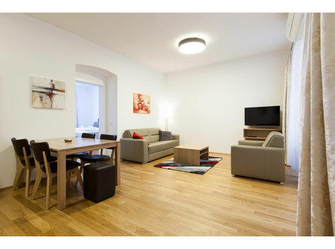 Modern and comfortable flat in the heart of vienna - For Rent