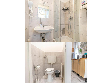 Neat & great studio (Wien) - For Rent