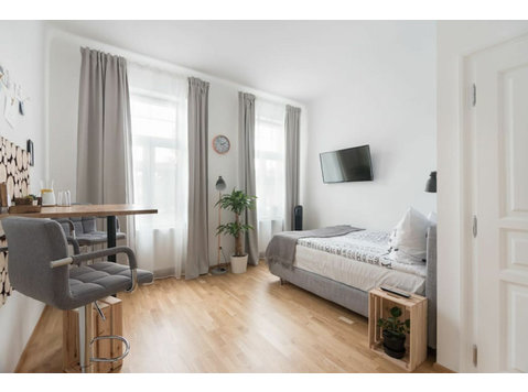 Spacious and cute studio in vibrant neighbourhood - For Rent