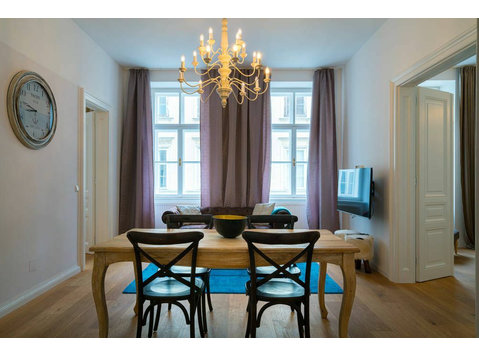 Spacious, fashionable apartment close to city center - For Rent