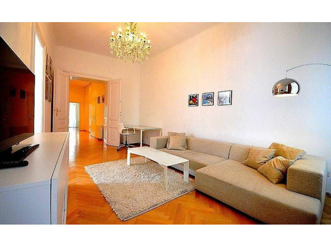 Spacious, tastefully furnished apartment in 1030 Vienna - Kiralık