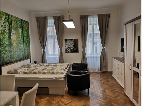 Studio nahe Schönbrunn - Zu Vermieten