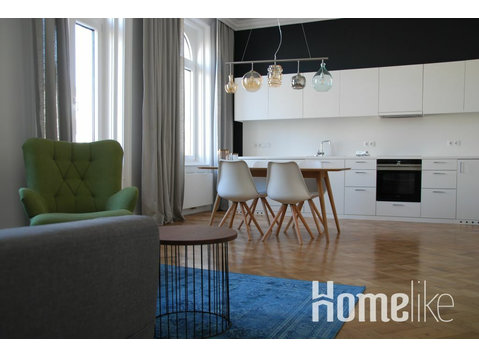 Charming flat in the heart of Vienna - 公寓