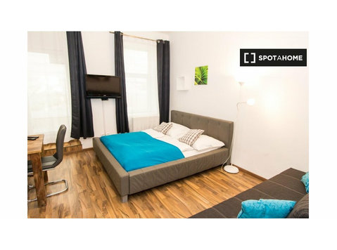 Studio apartment for rent in Vienna - اپارٹمنٹ