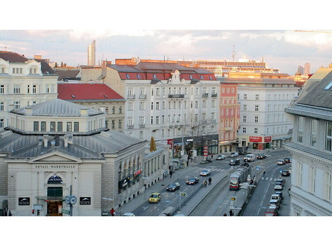 2 ZI-WOHNUNG IN WIEN - 9. BEZIRK - ALSERGRUND, MÖBLIERT - Serviced apartments