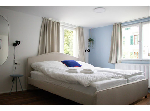 Cozy city apartment in Dornbirn - Za iznajmljivanje