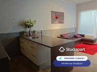 Antwerp fully furnished all bills included apartment "… - 出租