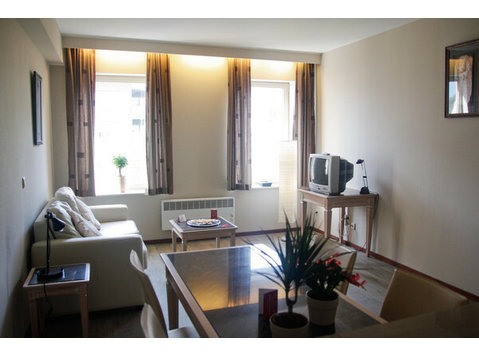 Furnished One-bedroom Apartment - Te Huur