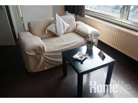 Spacious studio for 2 persons - Apartments