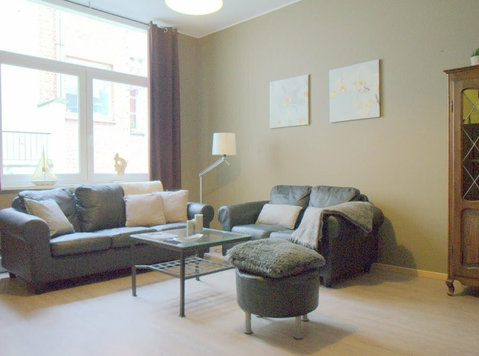Furnished modern housing in the city center of Antwerp - Apartamente regim hotelier