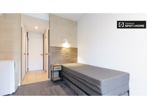 Picturesque room in apartment in Saint Gilles, Brussels - الإيجار
