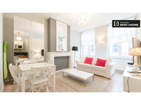 Bright 1-bedroom apartment for rent, European area, Brussels - Apartments