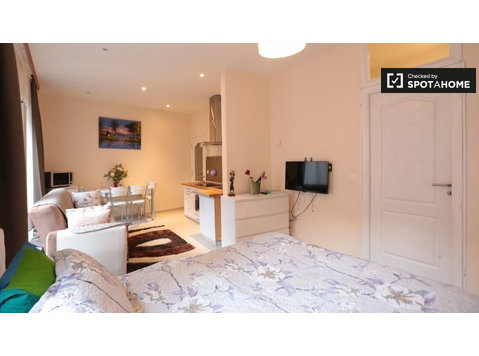 Furnished studio apartment for rent in Ixelles, Brussels - Apartamentos