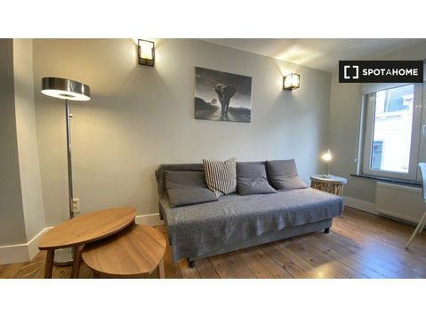Moderne Studio-Wohnung zur Miete in Brüssel Stadtzentrum - Wohnungen