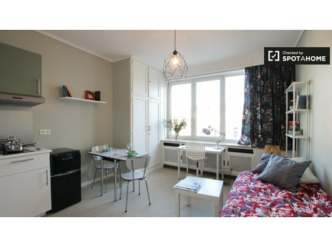 Gepflegtes Studio-Apartment zu vermieten in Ixelles, Brüssel - Wohnungen