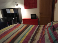 Room in house for rent in gent - Общо жилище