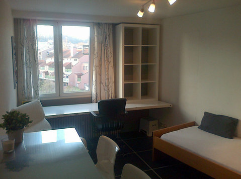 Fully furbished studio in Leuven city center for students - Appartements