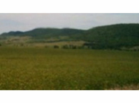 18,000 Sqm  Building Land In Pomorie Bulgaria - Đất đai