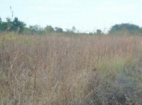 Building Plot, with scenic outlooks, Byala, Bulgaria - Land