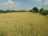 Building plot for sale in Krivnya, Varna district - 地产
