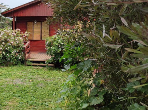 Se venden dos cabañas en el mismo terreno - Дома