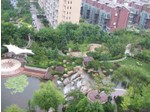 Qingdao---tell you the biggest ant the most beautiful commun - Casas