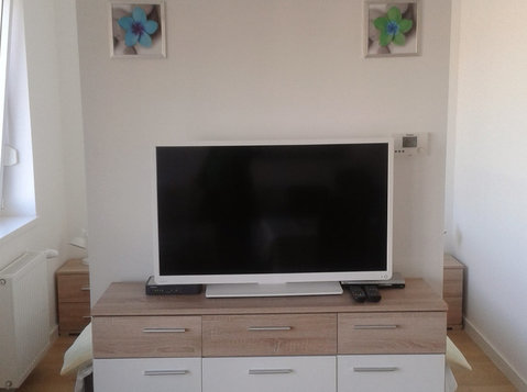 Apartnani Ilica-petrova-cankareva-grahorova (8) - Apartments