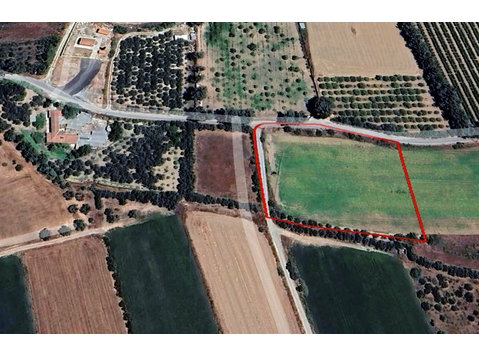 We are presenting you this 6453sqm shaped land, located in… - منازل