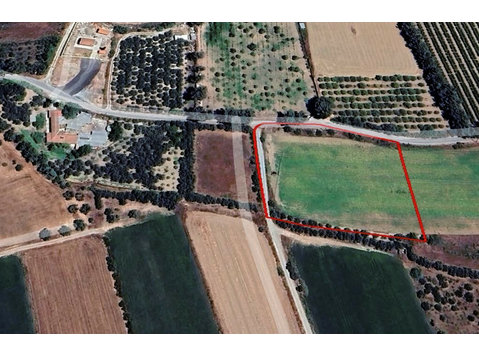 We are presenting you this 6453sqm shaped land, located in… - בתים
