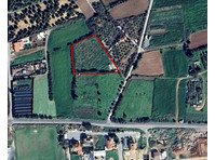 A 4,456sq.m. agricultural field ideally located on the…