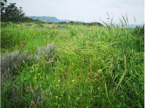 A Residential plot available in Mesa Yitonia in Panthea… - Rumah