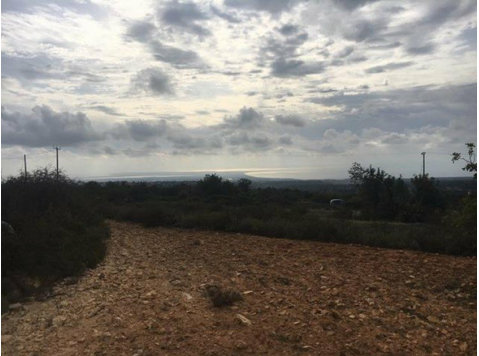 A beautiful parcel of land available in Souni.The… - Houses
