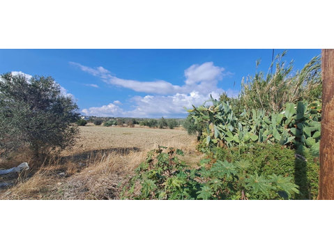 A large parcel of land of 4014m2 is now available in a… - Houses