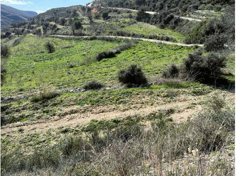 Agricultural land in Agios Amvrosios village in Limassol.… - Houses