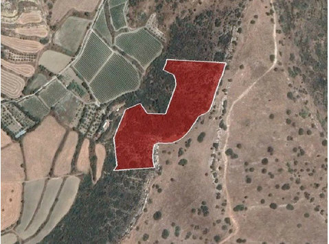 Agricultural land located  in Pissouri village, in Limassol… - Houses