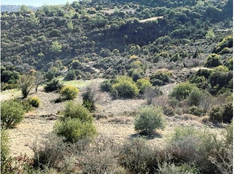 Agricultural land of 12710m2 in Mathikoloni… - Hus