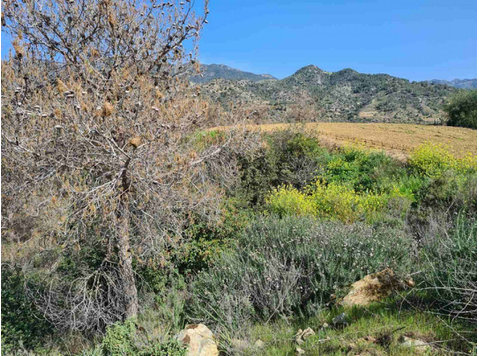 An agricultural land  9700sqm in Kalo Chorio  in Limassol,… - 주택