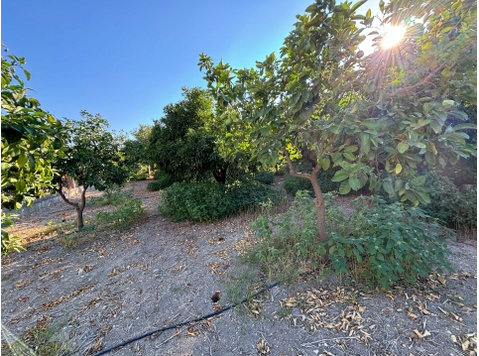 Discover a prime residential field for sale in the… - Куќи