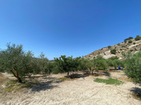 For sale a 37,767 square meter land in Pissouri, Limassol… - Huizen