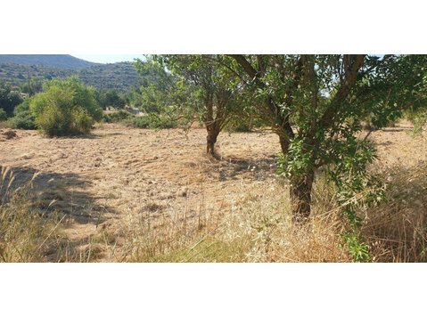 Land available in the lovely village of Fasoula.  Just 7… - Case