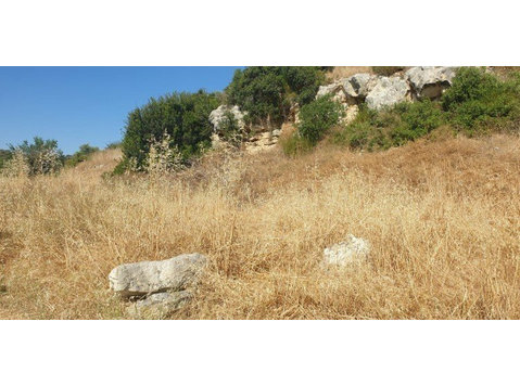 Land available in the lovely village of Fasoula.  Just 7… - Nhà