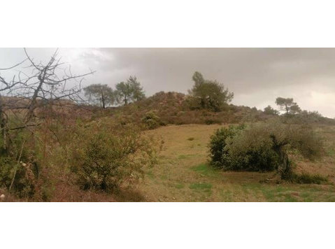 Land of  781 sqm located in Episkopi is available now. The… - Domy