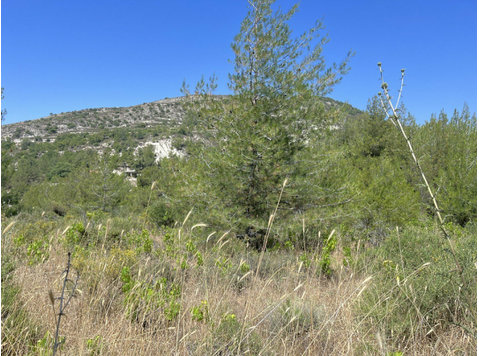 Large residential land of 2620m2 available in Pera Pedi… - Maisons