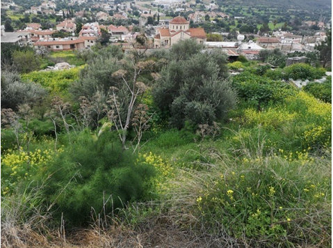 Nice plot 242sqm located in Palodeia area is now available… - Maisons